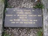 image of grave number 314150